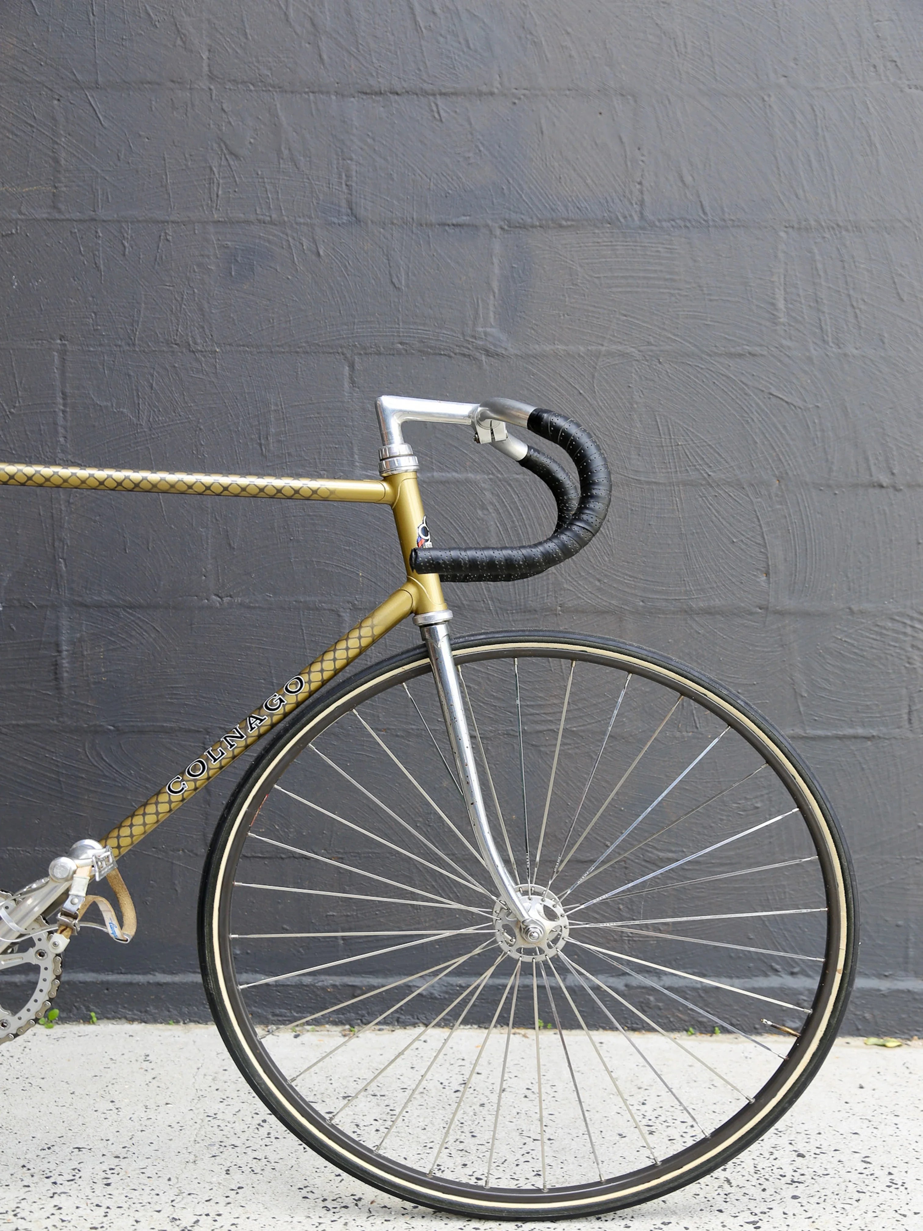【ビンテージ自転車】PAGNINI granprix Vintage Road Bikes – Lumini Collections