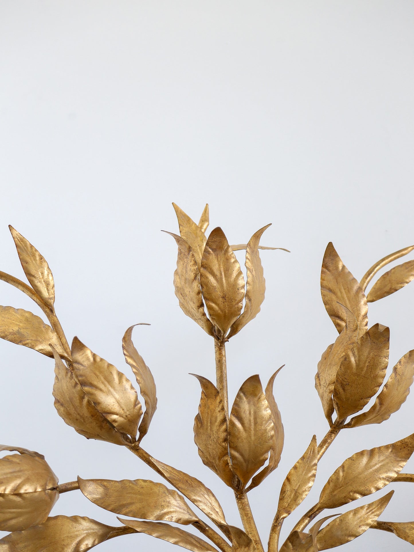 Art Deco Brass & Gold Leaf Wall Light with Nine Lights