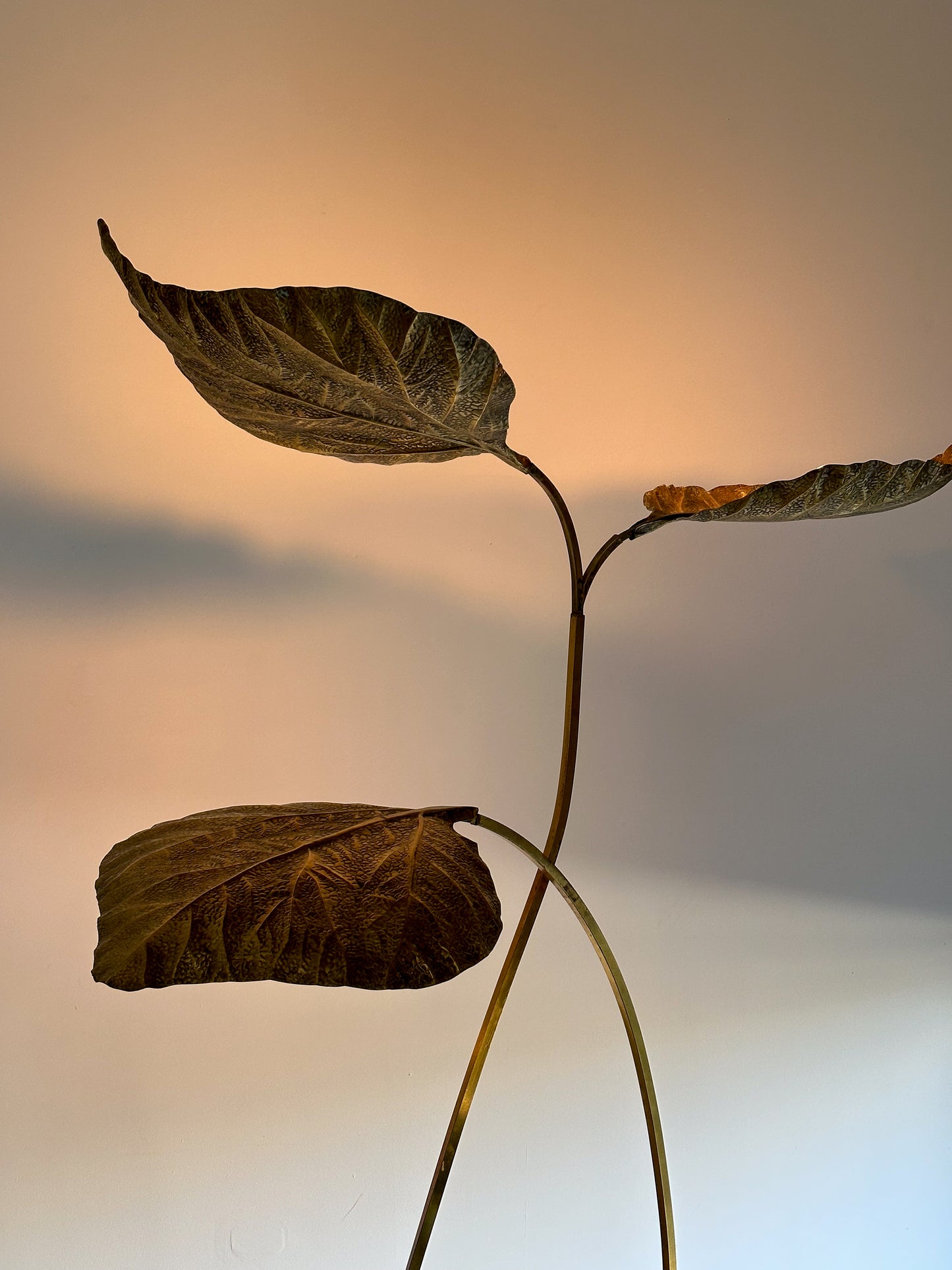Carlo Giorgi for Bottega Gadda Rabarbaro Brass Three Leaf Floor Lamp