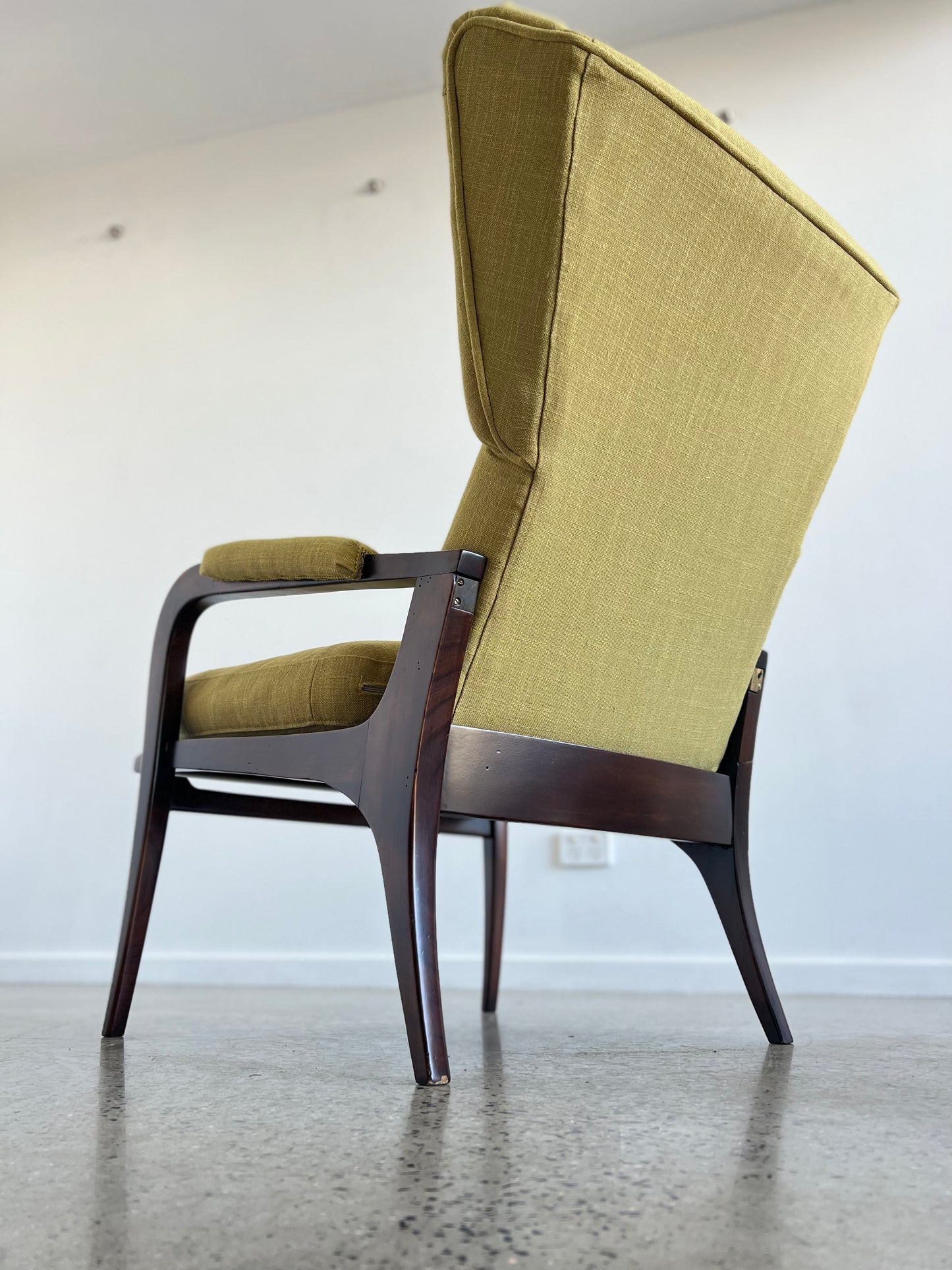 Italian Mid Century Modern Reclining Armchair and Ottoman by Renzo Franchi for Brianzola, 1950s