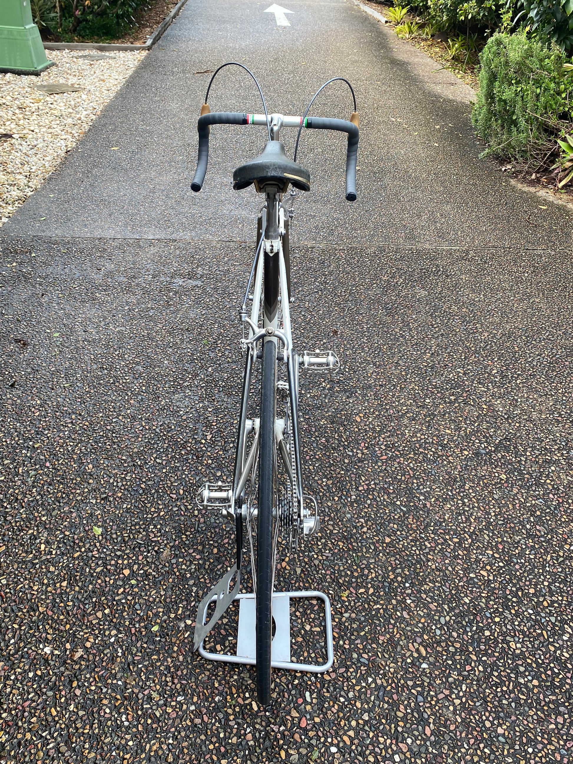A vintage silver road bicycle with black drop handlebars and a black saddle, parked on a paved pathway with greenery on both sides.