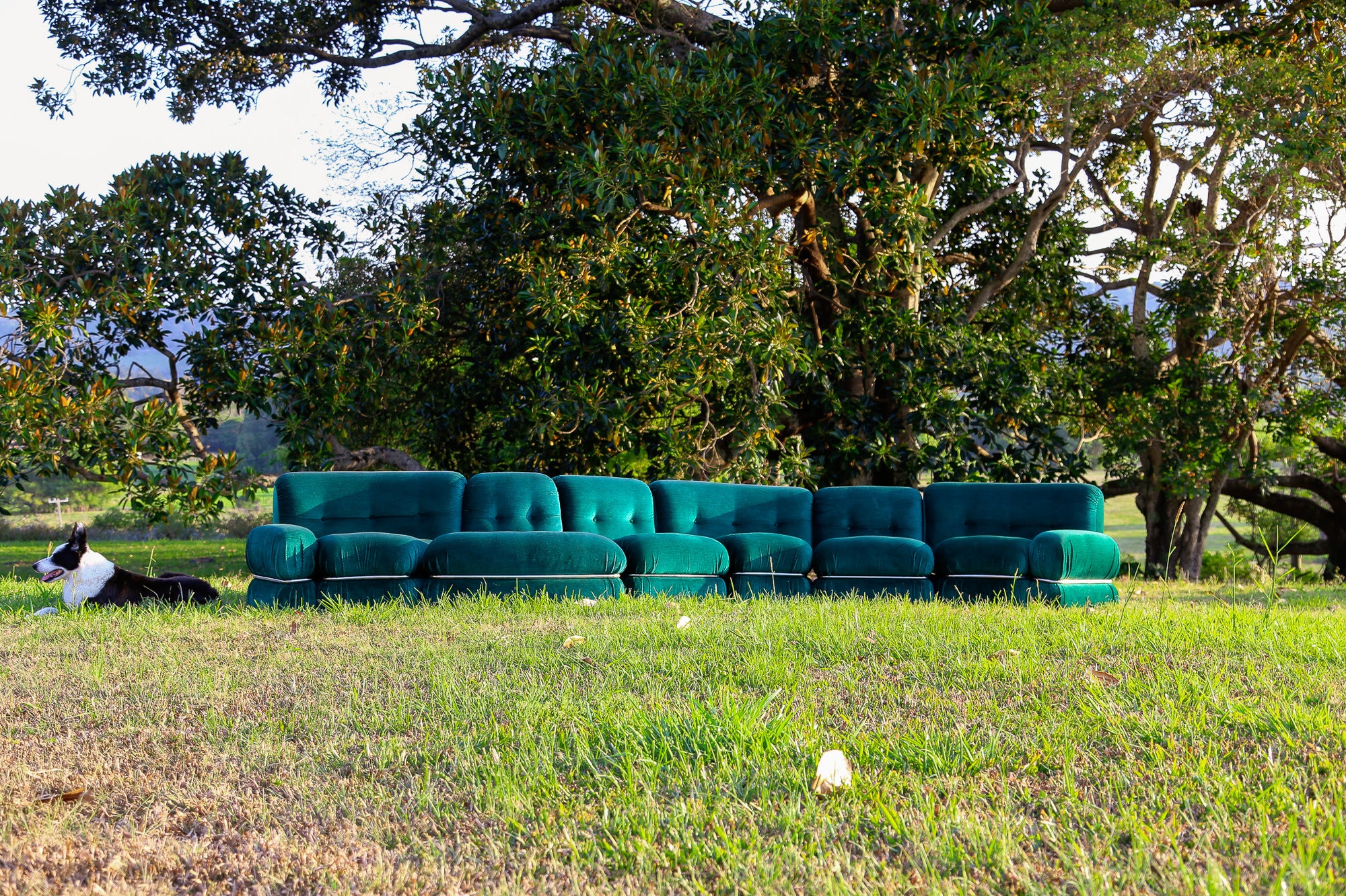 Teal sofa on a grassy field with trees in the background | Lumini Collections