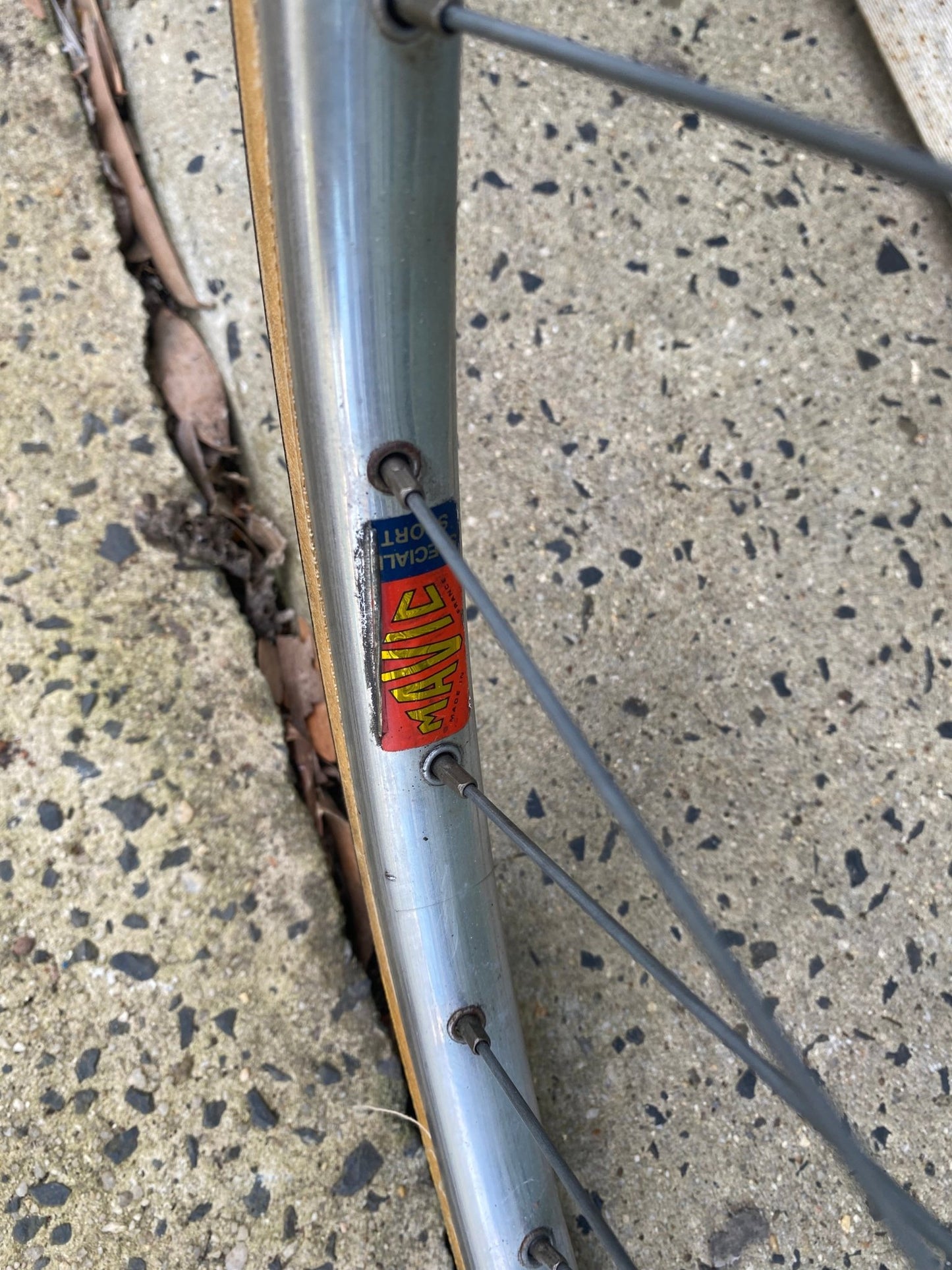 1980s GIOS Torino Super Record road bicycle - Lumini Collections