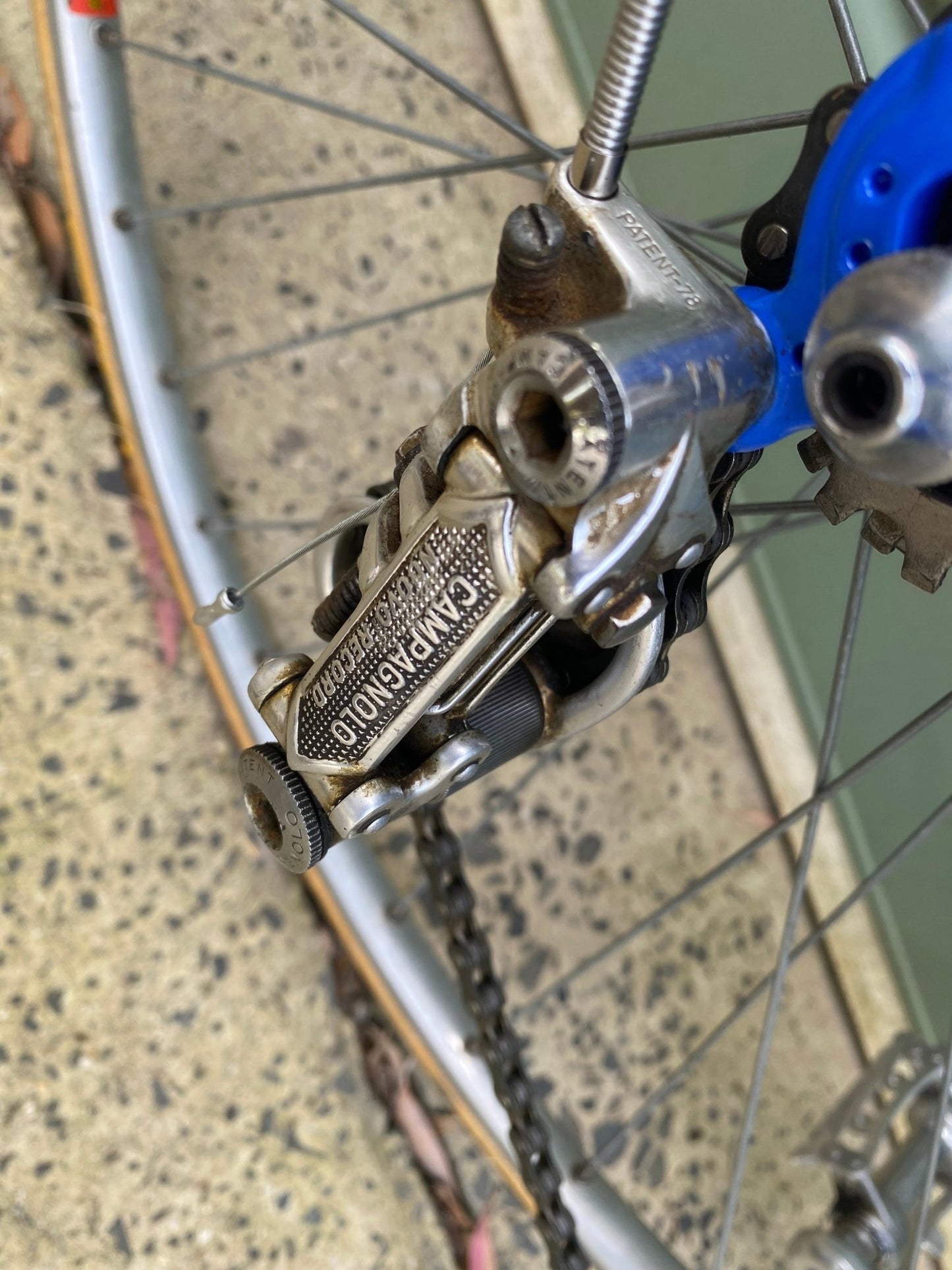1980s GIOS Torino Super Record road bicycle - Lumini Collections