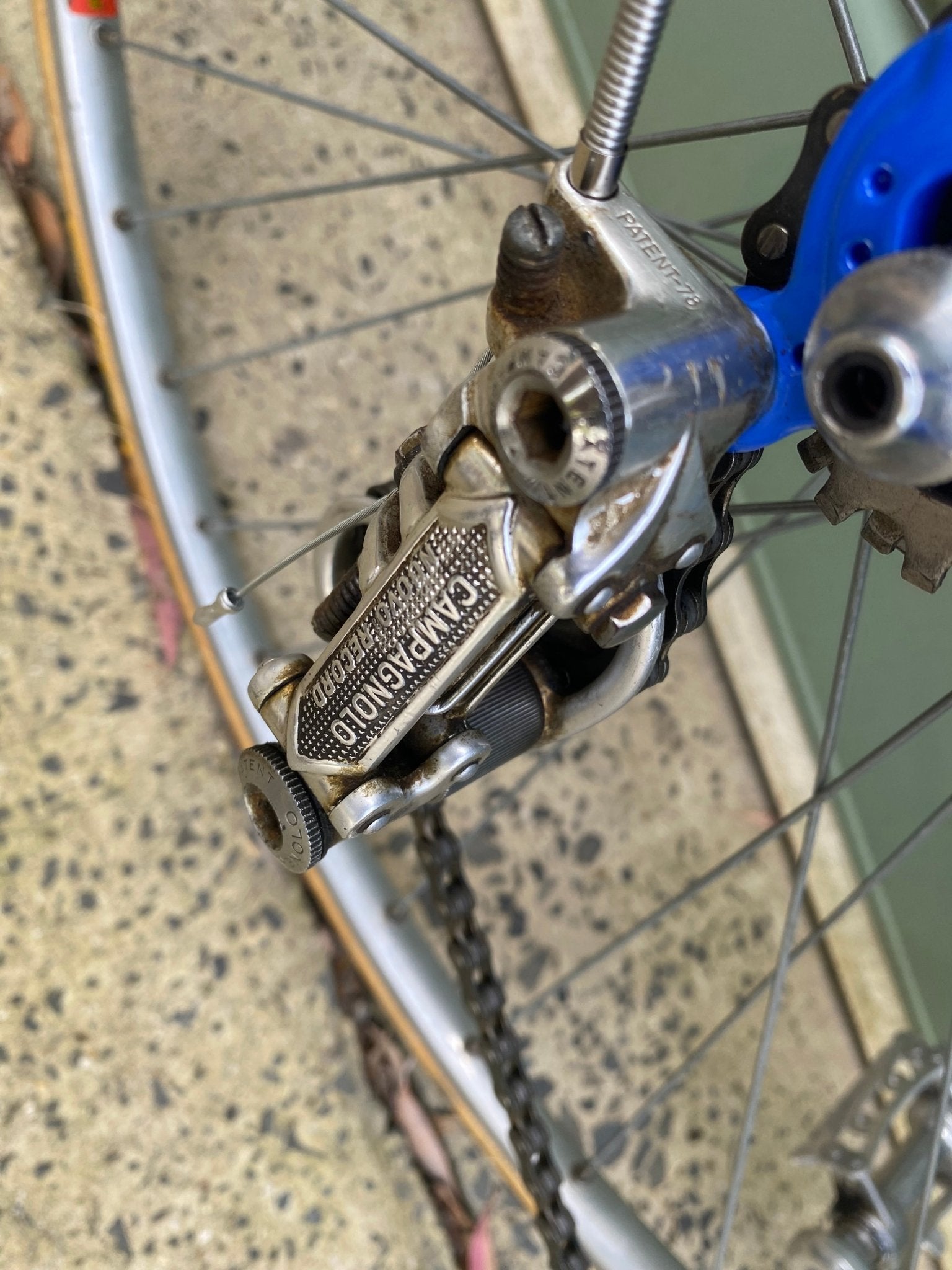 1980s GIOS Torino Super Record road bicycle - Lumini Collections