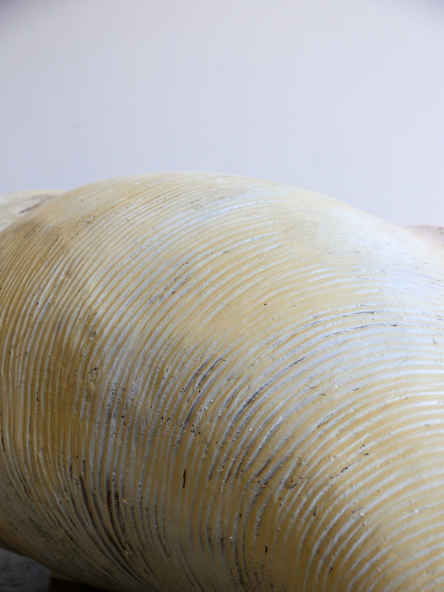 Sculptural Large Fiberglass Shell