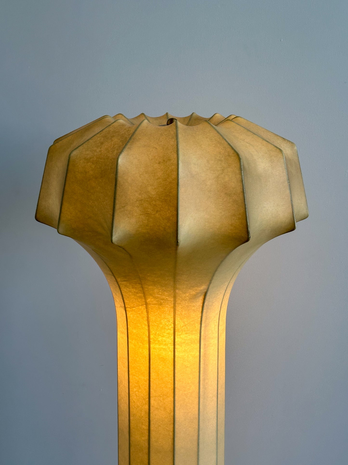 Achille & Pier Giacomo Castiglioni Cocoon Floor Lamp