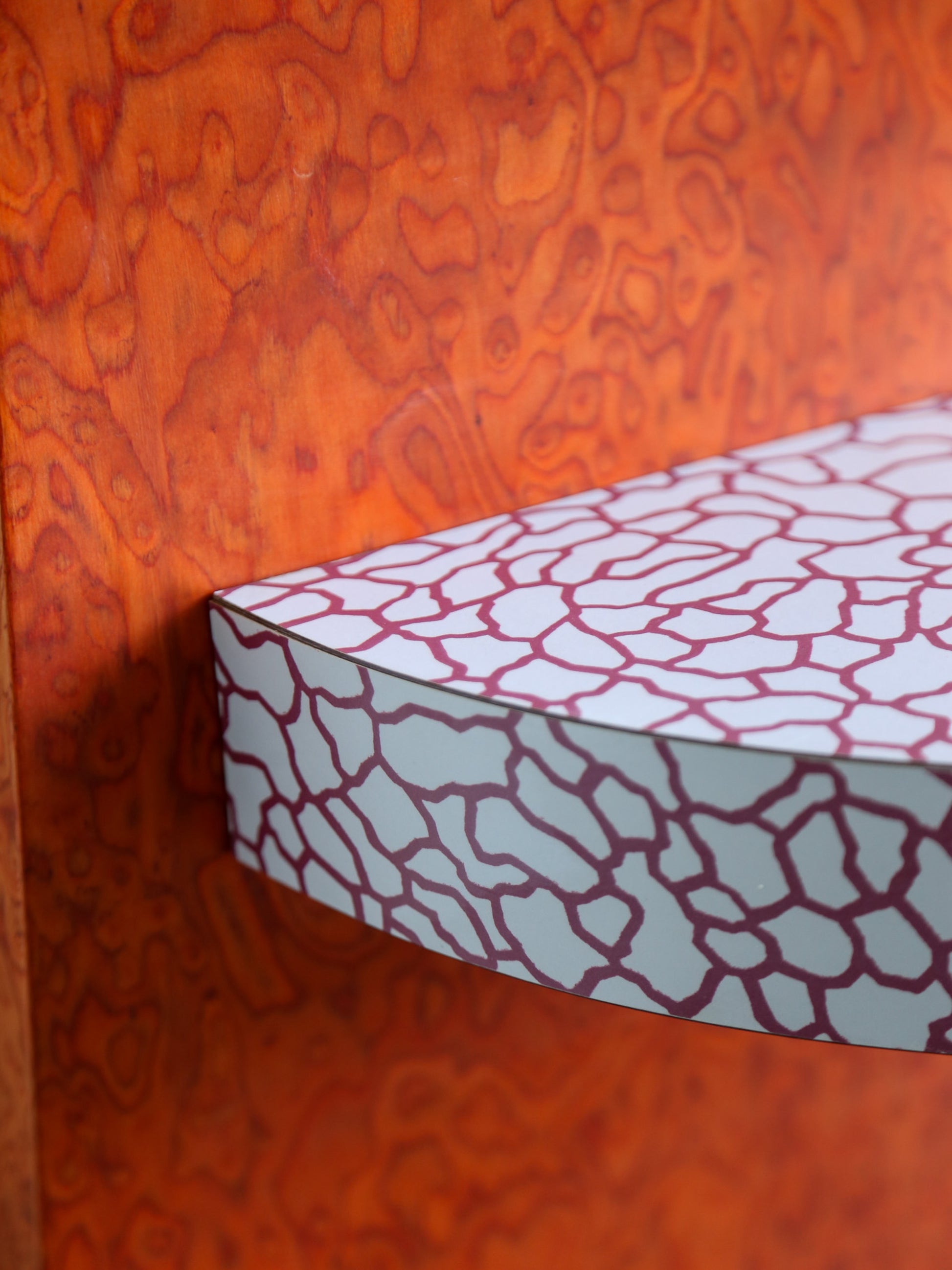 close up laminate shelves by sottass
