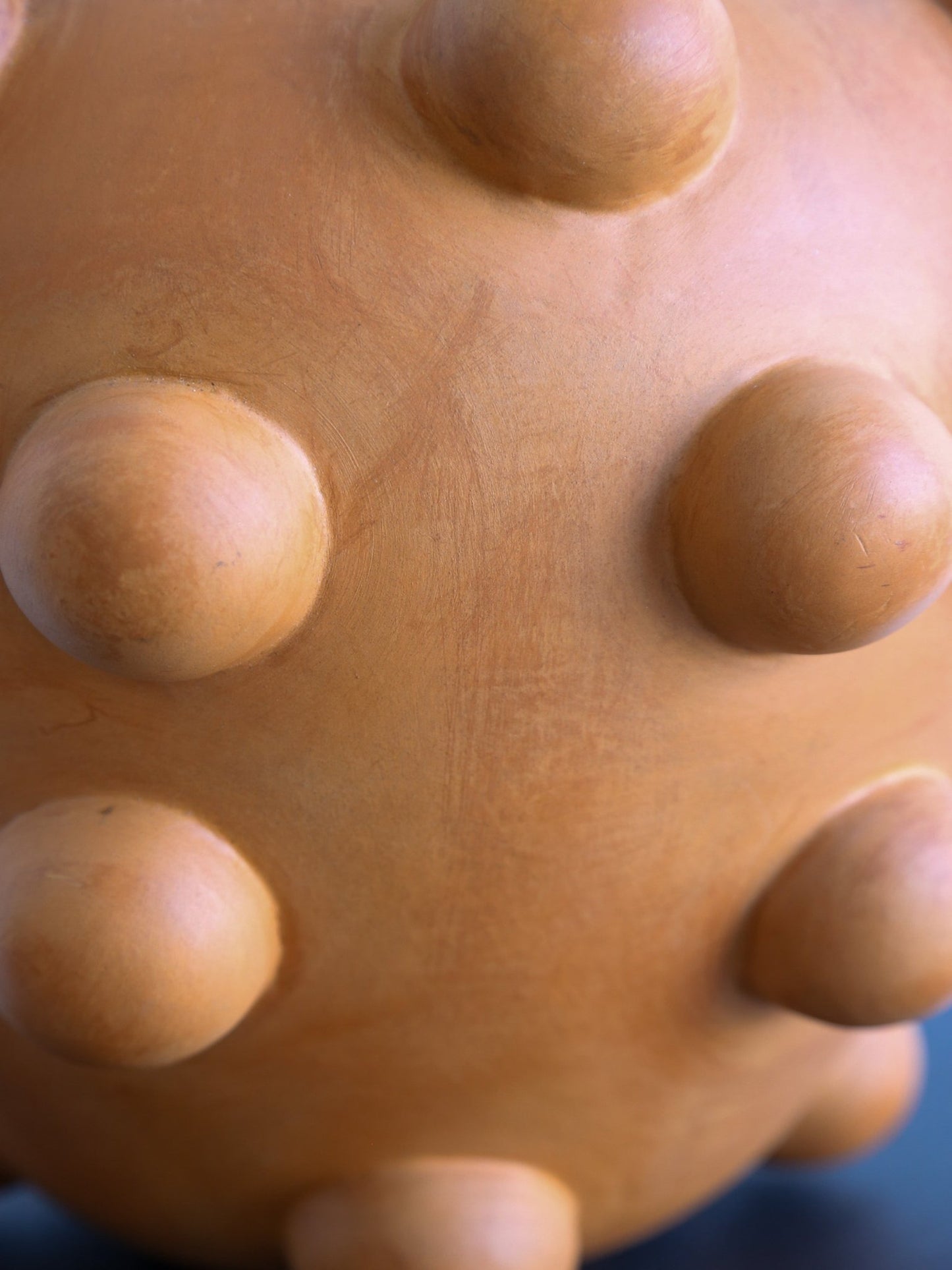 Close-up of a textured brown ball with raised凸起