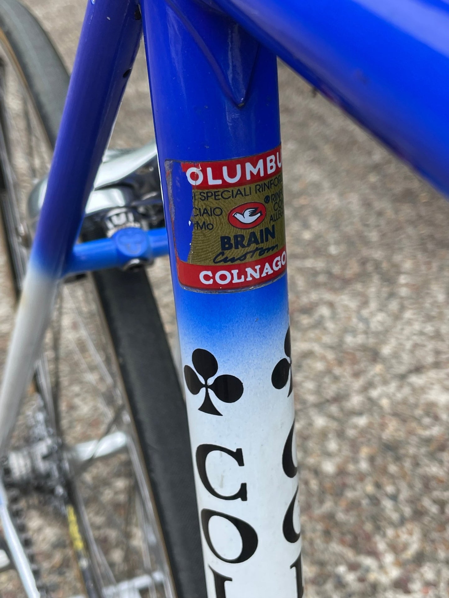 1996 Colnago Superissimo road bicycle - Lumini Collections