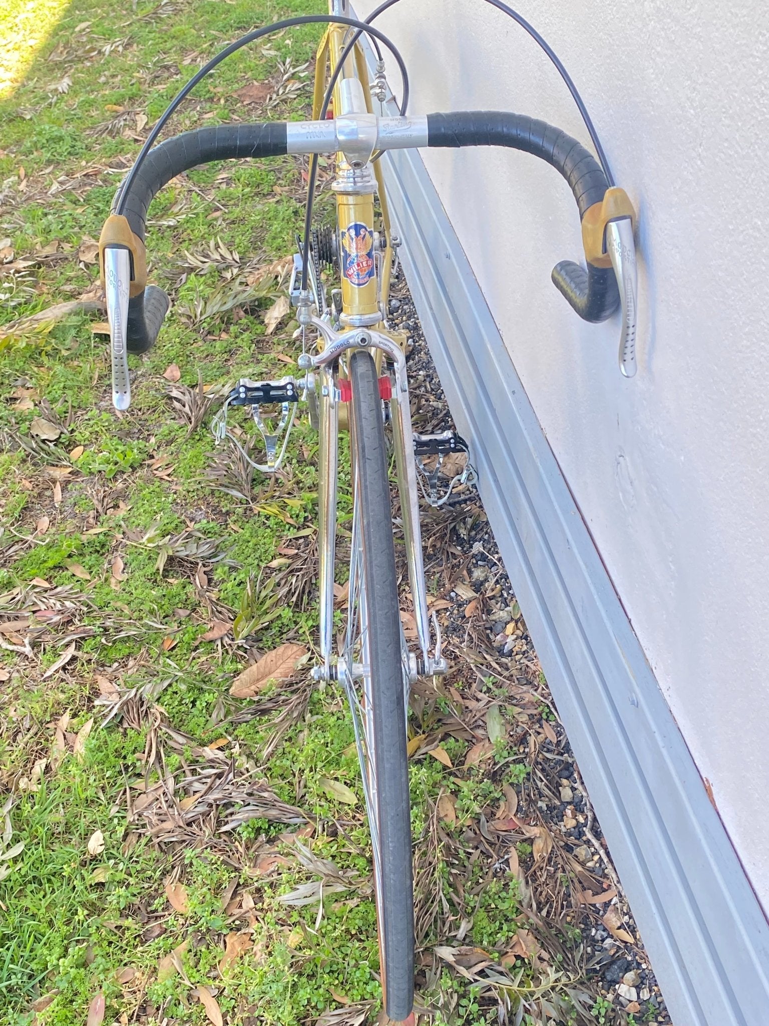 A vintage road bicycle with drop handlebars, a gold frame, and a black tire, photographed outdoors against a white wall with grass and dry leaves on the ground.