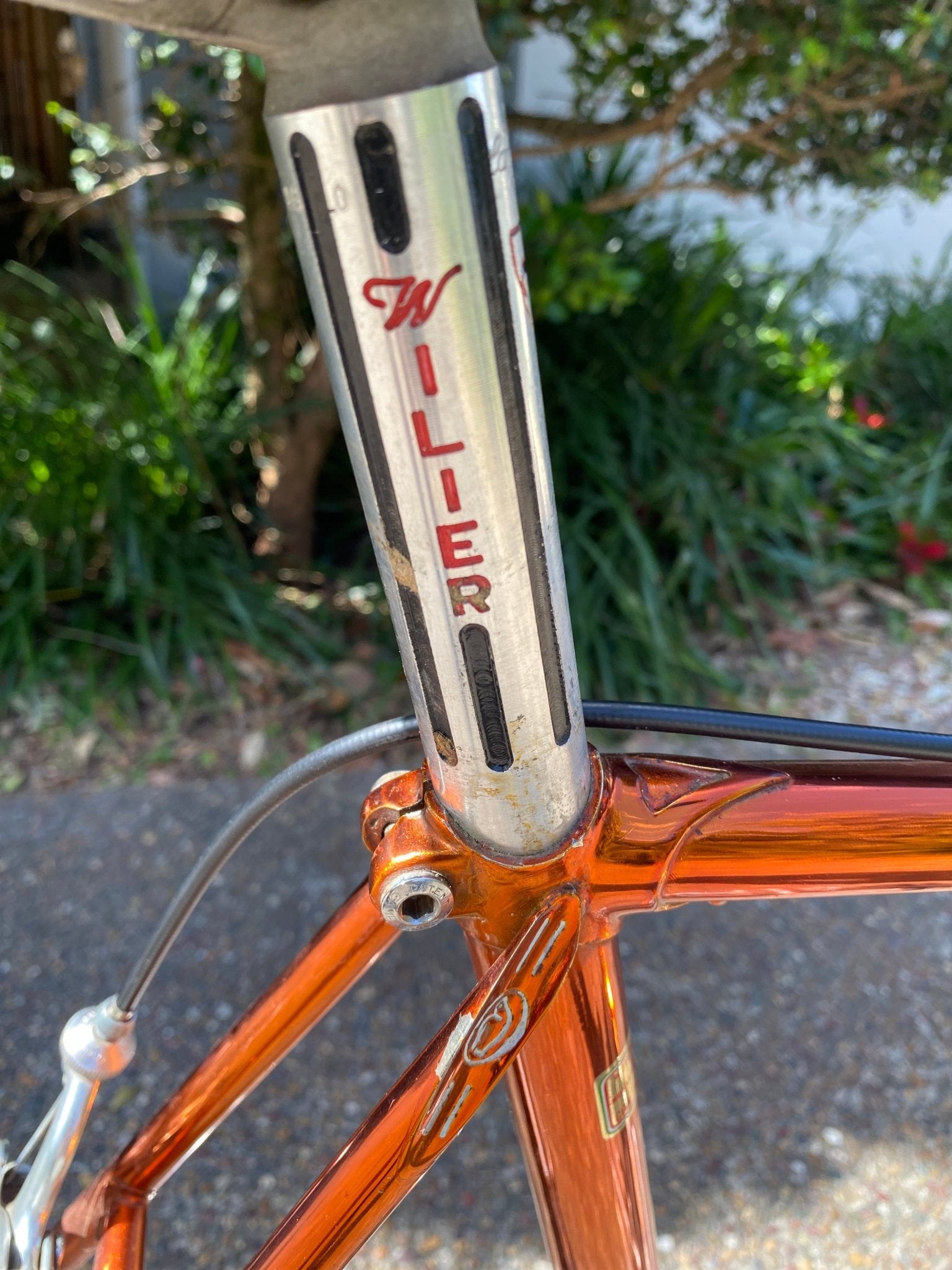 Wilier Triestina Aelle Ramata road bicycle - Lumini Collections