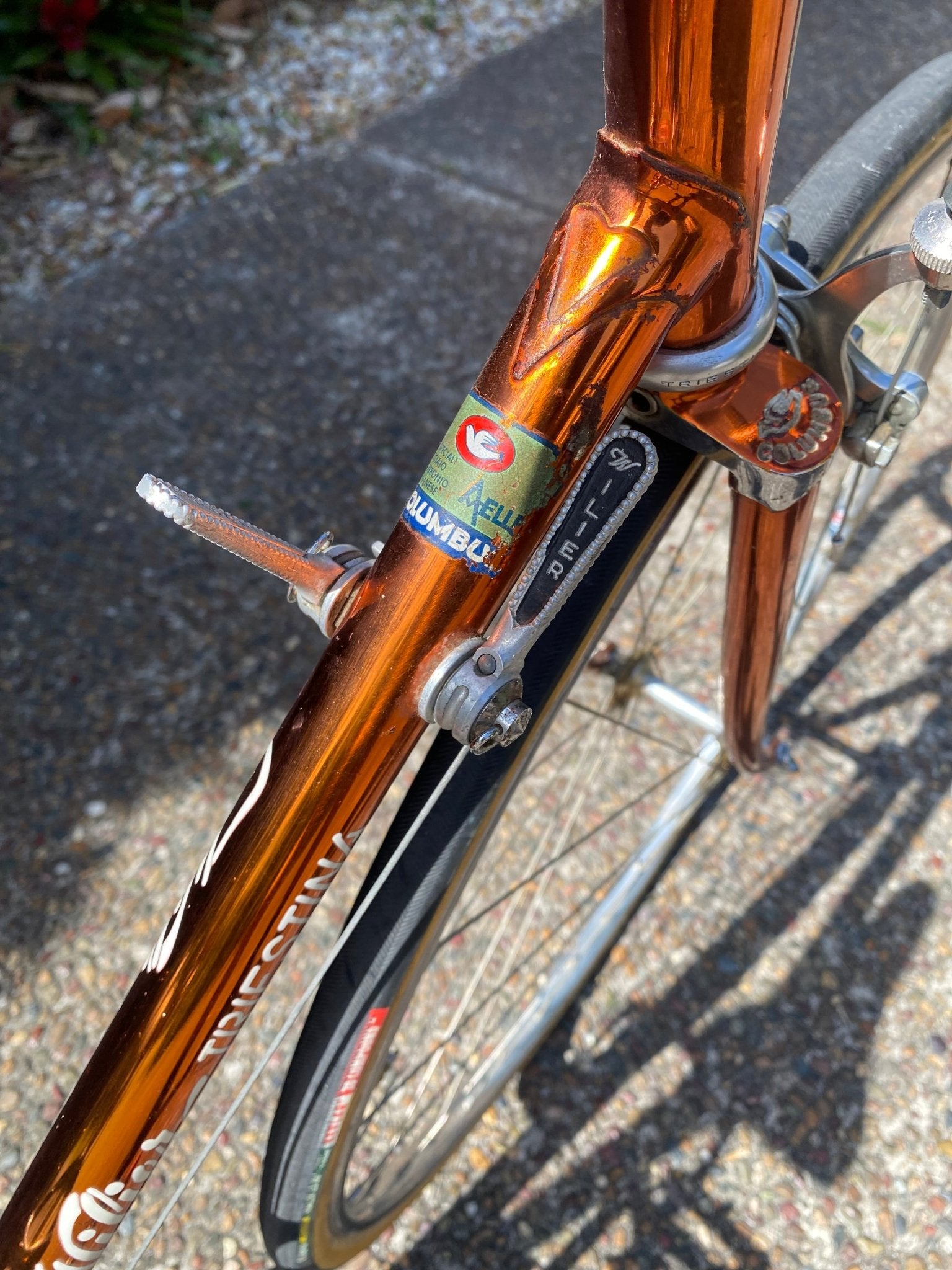 Wilier Triestina Aelle Ramata road bicycle - Lumini Collections