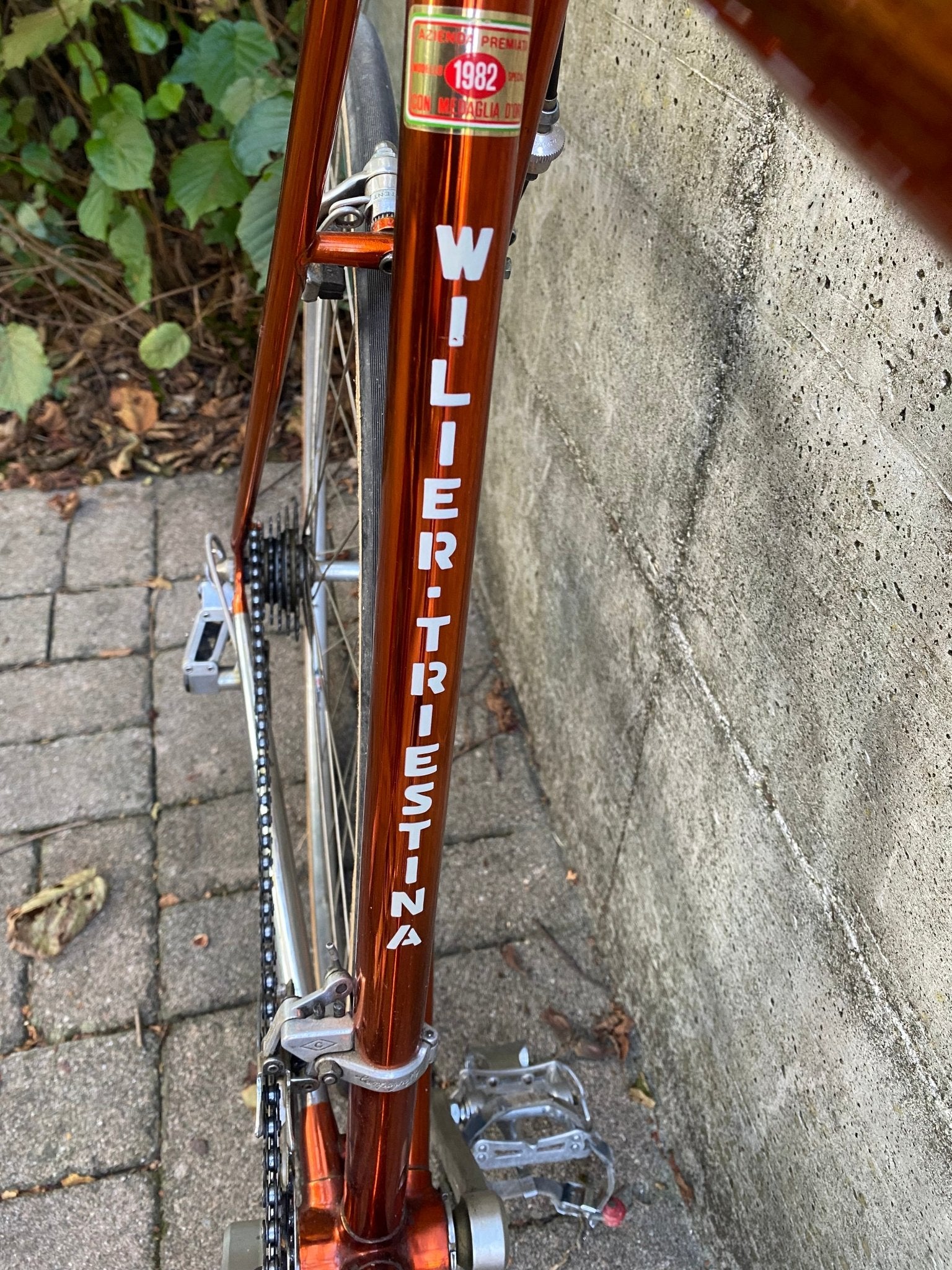 Wilier Triestina Aelle Ramata road bicycle - Lumini Collections