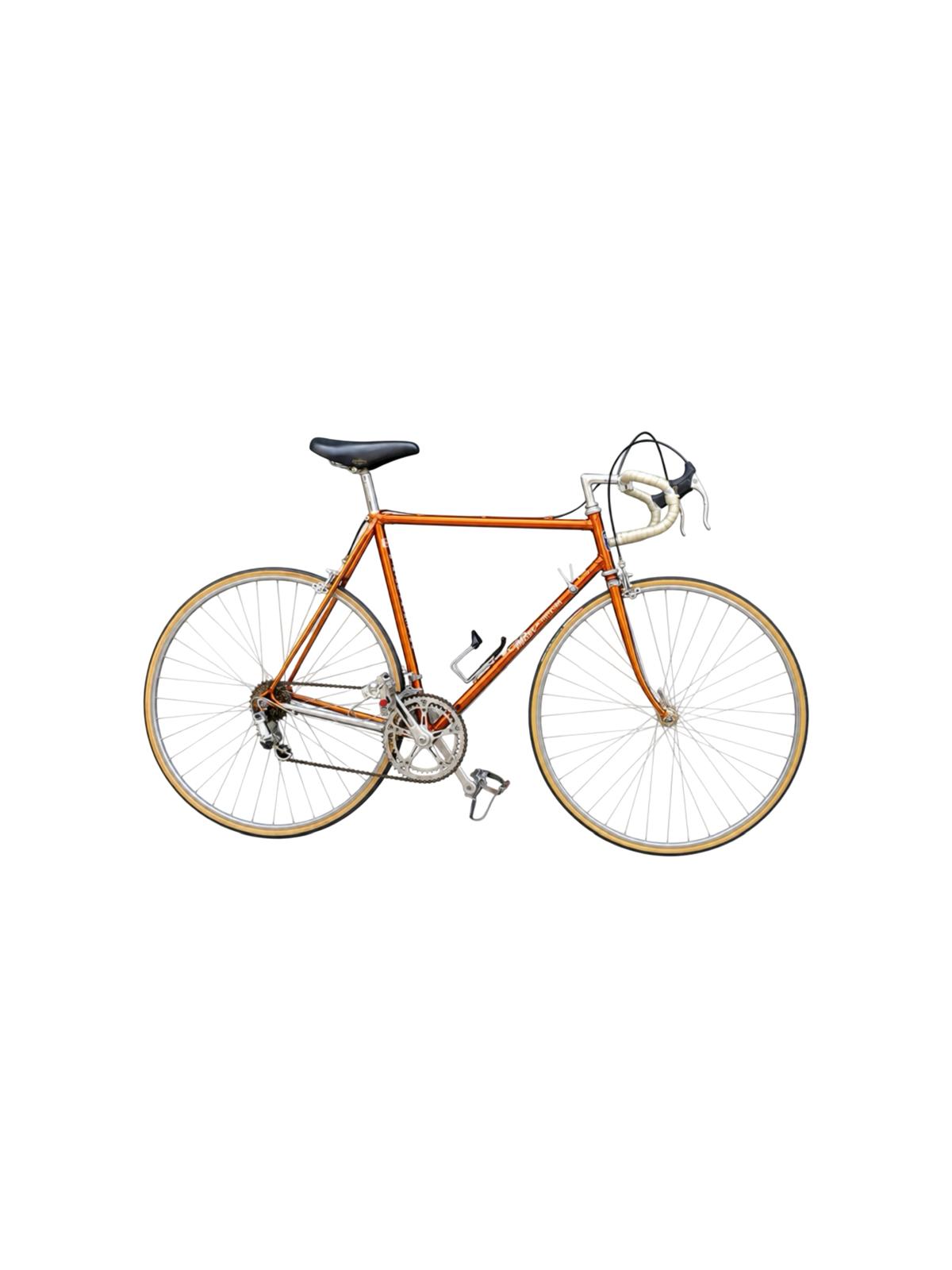 Wilier Triestina Aelle Ramata road bicycle - Lumini Collections