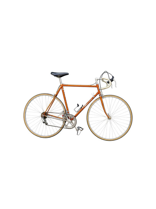 Wilier Triestina Aelle Ramata road bicycle - Lumini Collections