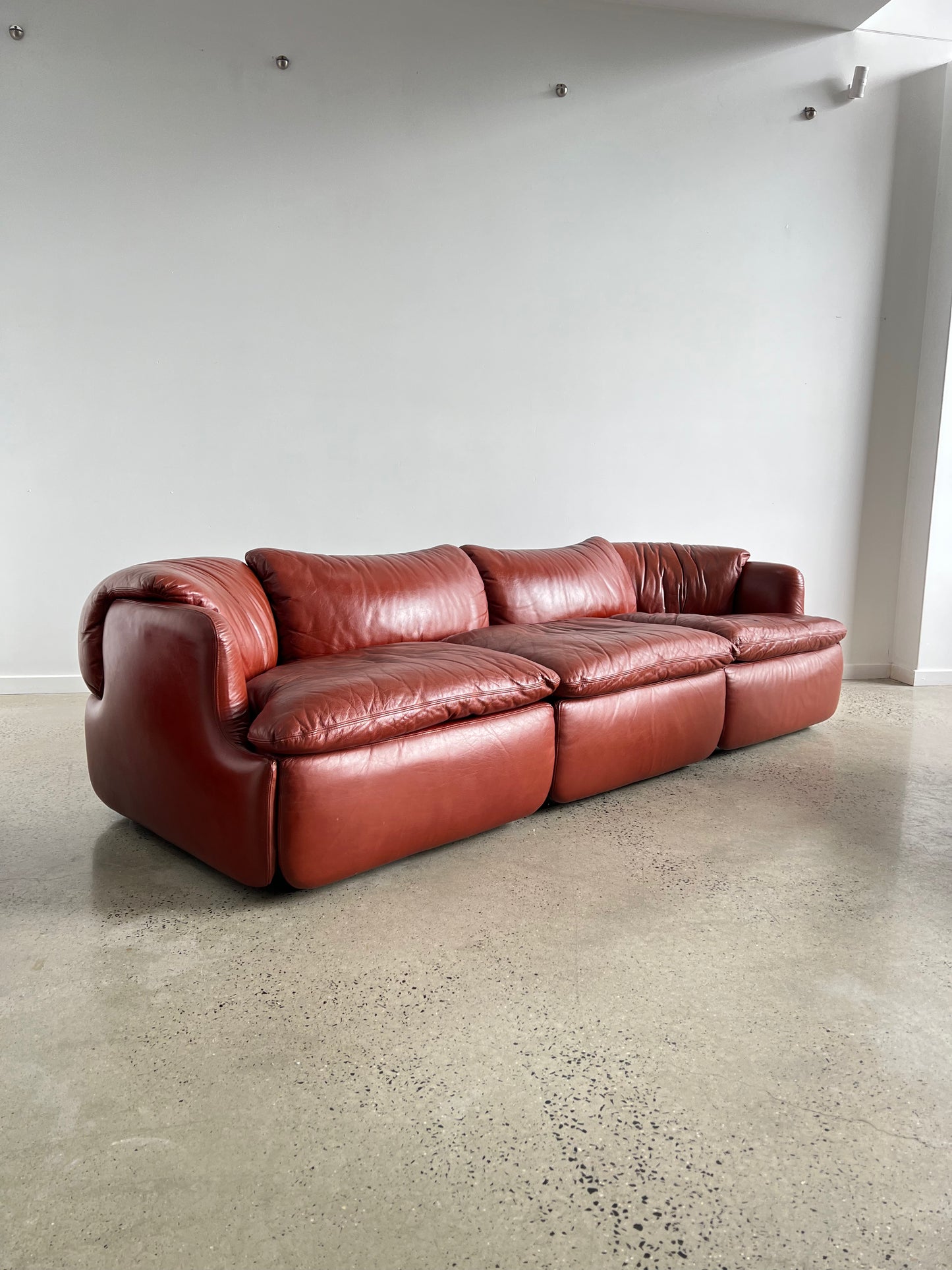 "Confidential" by Alberto Rosselli for Saporiti, Red/Cordovan Leather Sofa Set, 1970s